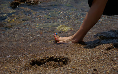 Low section of person feeding at beach