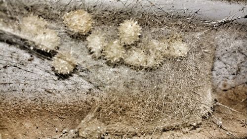 Close-up of water