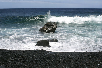 Scenic view of sea waves splashing on shore