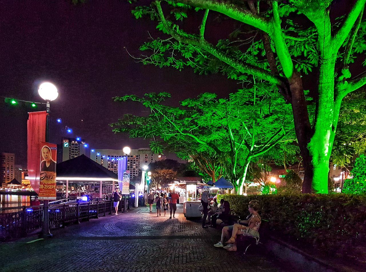 night, illuminated, lighting equipment, group of people, tree, real people, architecture, city, plant, street, adult, built structure, men, crowd, street light, women, large group of people, nature, green color, outdoors, light