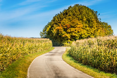 Empty road amidst trees on field against sky