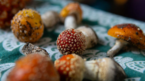 Close-up of fruits in plate on table