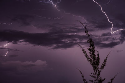 Low angle view of lightning in sky