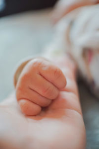 Close-up of baby lying on bed