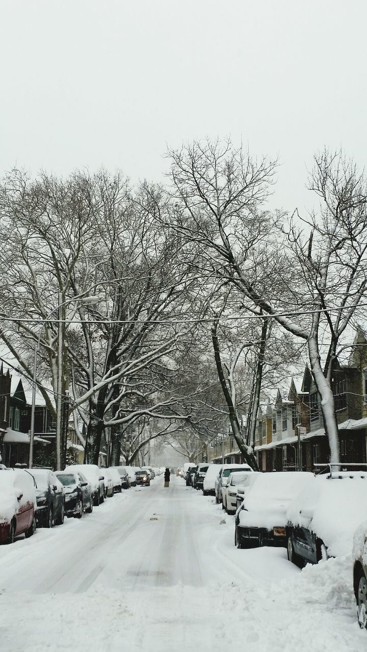 snow, winter, cold temperature, transportation, bare tree, season, tree, car, land vehicle, road, weather, mode of transport, the way forward, covering, street, building exterior, clear sky, built structure, architecture, branch