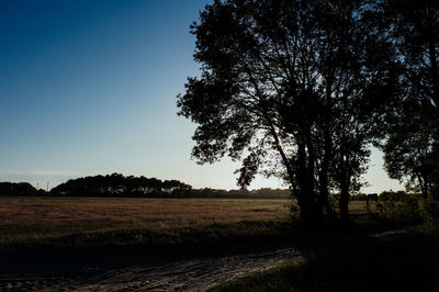 Silhouette tree on field against clear sky