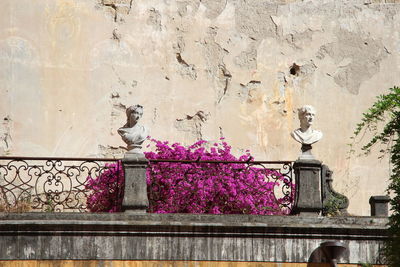 Low angle view of flowers