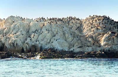 Rocks in sea against clear sky