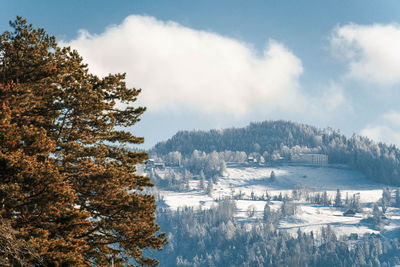 Zugerberg im winter