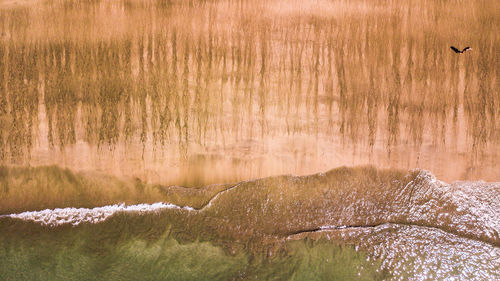 High angle view of waves on shore at beach