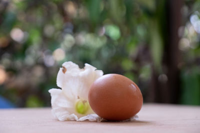 Close-up of apple on table