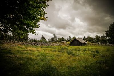 Scenic view of field against sky