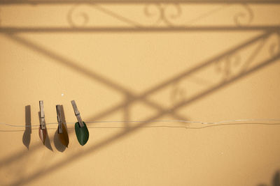 Clothespins with leaves on wire against wall