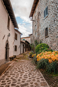 Narrow alley amidst buildings in town