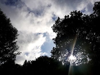 Low angle view of silhouette trees against sky in forest