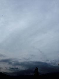 Low angle view of trees against cloudy sky