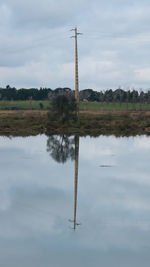 reflection