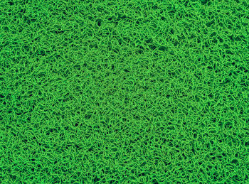 Full frame shot of grass on field