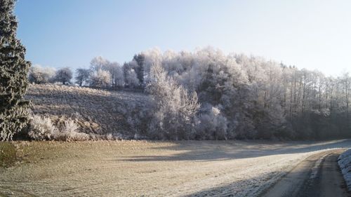 Road amidst trees on field against clear sky