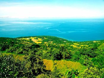 High angle view of trees on landscape against sky