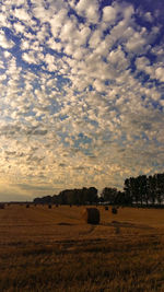 Hay bales on field against sky