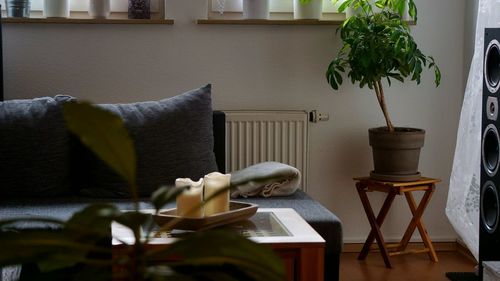 Vase on table at home