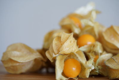 Close-up of chopped fruit on cutting board