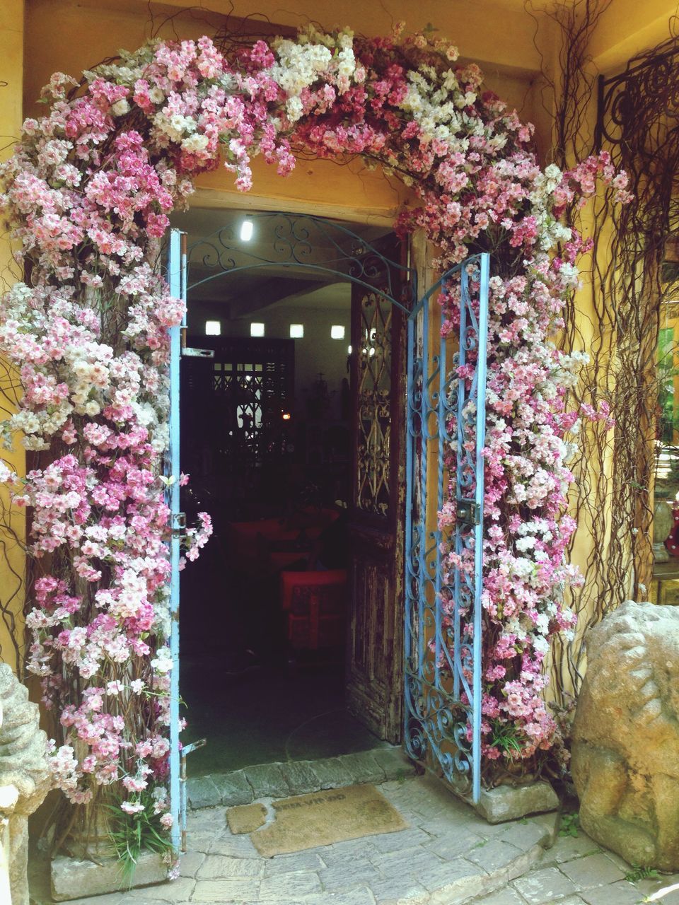 flower, entrance, door, plant, no people, outdoors, built structure, day, growth, freshness, nature, architecture