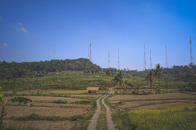 Scenic view of agricultural field against blue sky