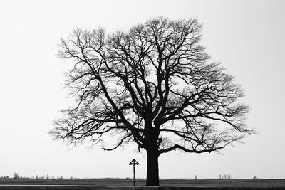 Silhouette tree by sea against sky