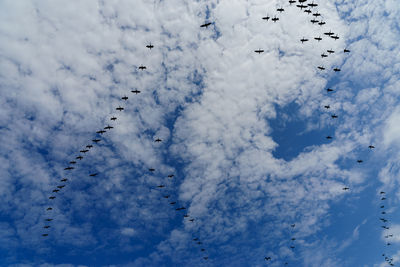 Flock of birds flying against sky