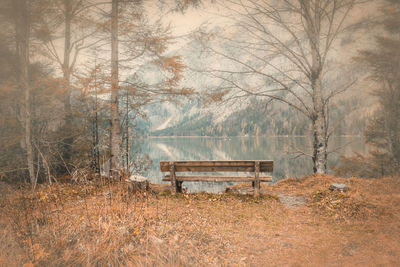 Empty bench in forest during winter