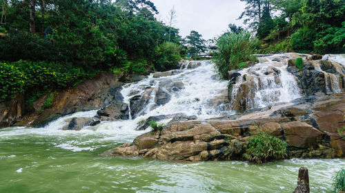 Scenic view of waterfall in forest