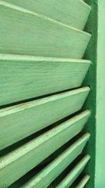 Detail shot of green leaves