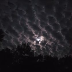 Low angle view of silhouette trees against sky at night