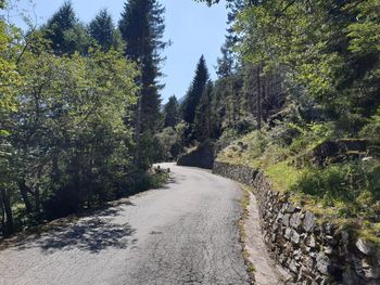 Empty road amidst trees against sky