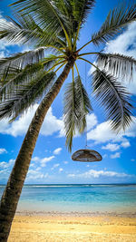 Palm tree on beach against sky