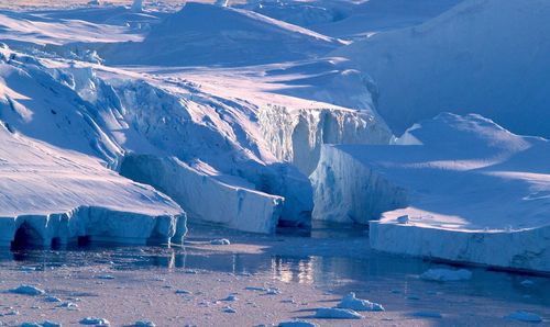 Glaciers in sea