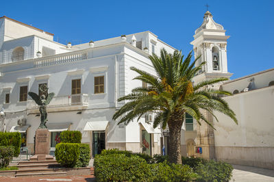 Low angle view of palm trees and buildings against sky