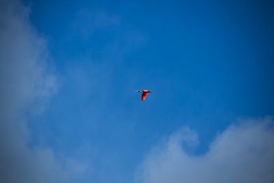 Low angle view of kite flying against blue sky