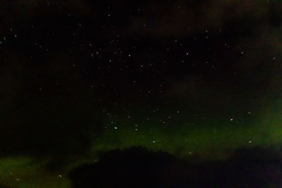 Low angle view of star field against sky at night