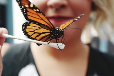 Close-up of butterfly on leaf