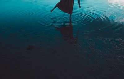 High angle view of bird in water