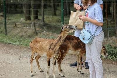 Mother and daughter standing by deer