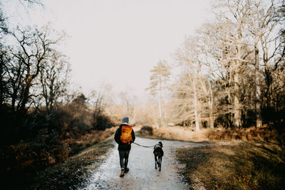 Rear view of man walking on road