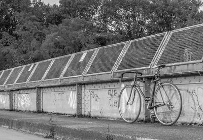 Bicycles against trees