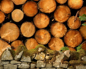 Logs arranged on field