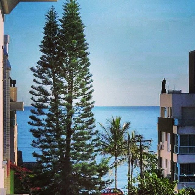 sea, tree, building exterior, blue, horizon over water, architecture, built structure, water, palm tree, sky, nature, beauty in nature, growth, scenics, house, tranquility, clear sky, tranquil scene, sunlight, no people