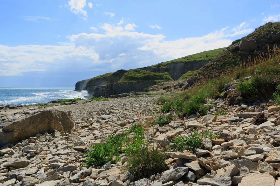 Dorset coast