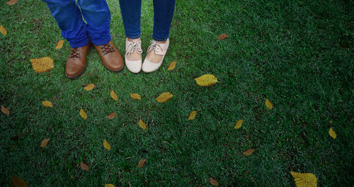 Low section of man standing on grass